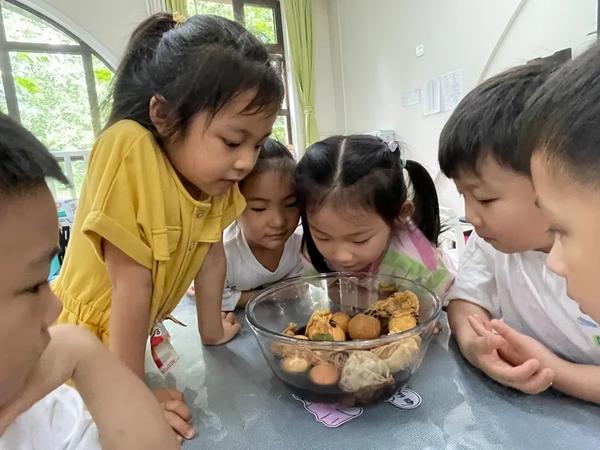 浓情端午 “粽”享童趣--金水区新建幼儿园开展端午节系列活动之植物染蛋