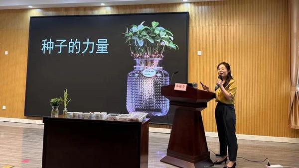 种子的力量——金水区新建幼儿园开展水培专题培训